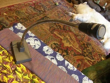 Shure 503BG Dynamic Close Talk Dynamic Lo Z Microphone 12" Gooseneck Zetron