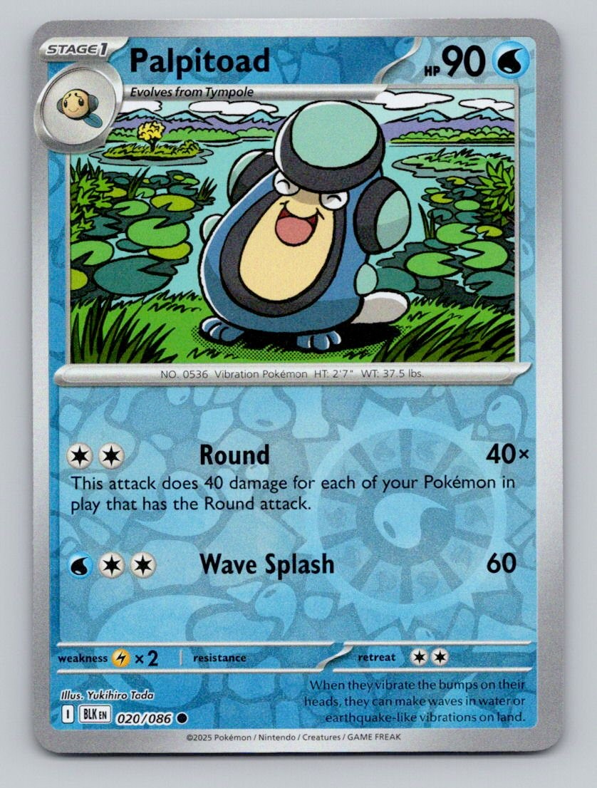 Reverse Holo Palpitoad 020/086 Common Black Bolt Pokemon