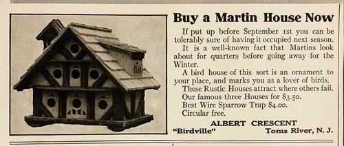 1915 AD.(PC8)~ALBERT CRESCENT, “BIRDVILLE” TOMS RIVER, NJ. MARTIN HOUSES