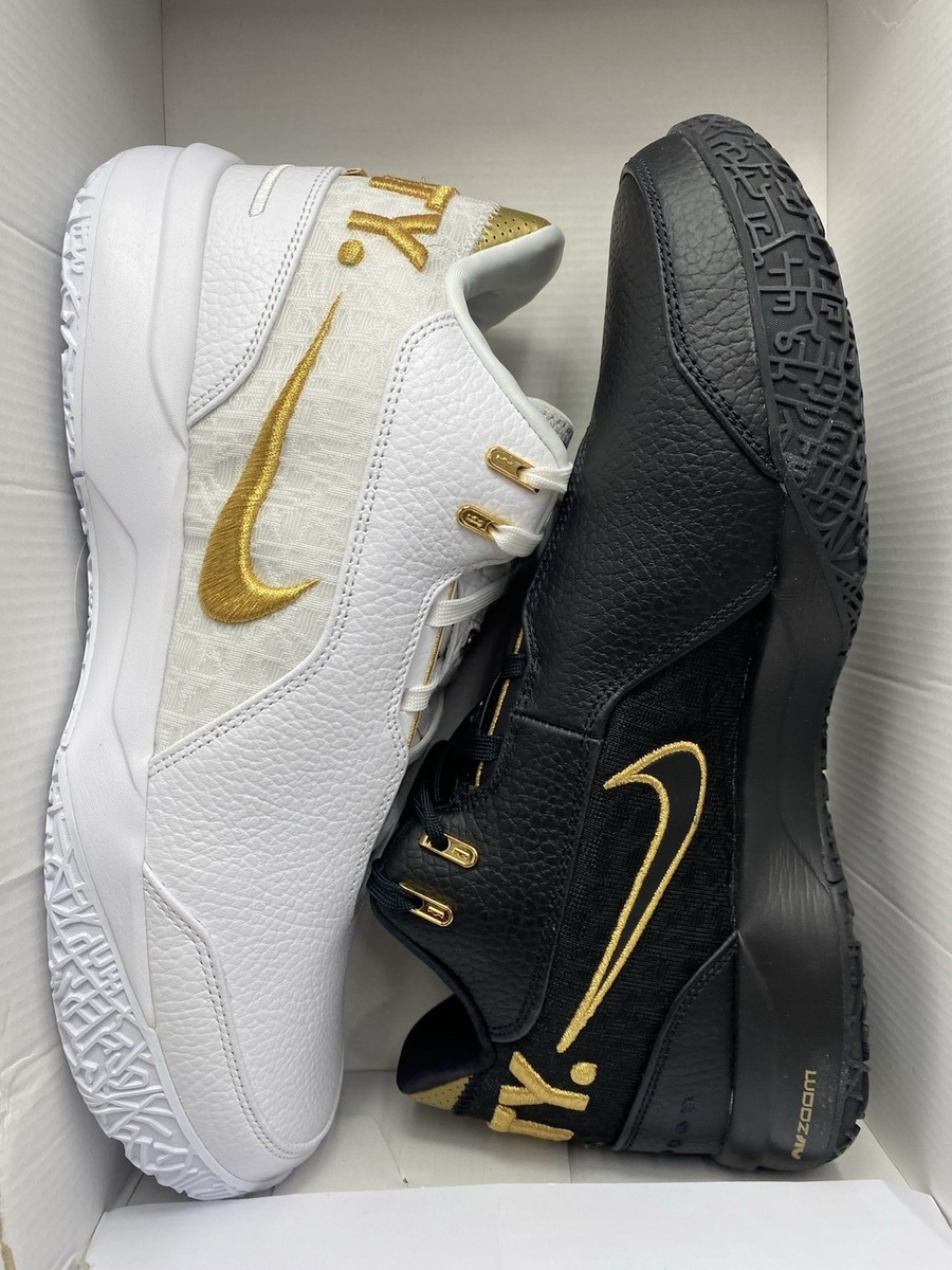 Size 11 - Nike Zoom LeBron NXXT Gen AMPD Equity for sale online | eBay