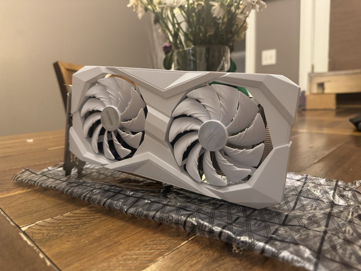 ASRock AMD Radeon RX 6600 Challenger WHITE 8GB Graphics Card | eBay