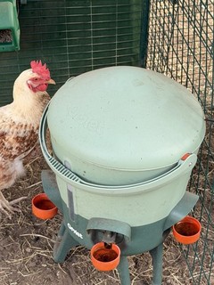 Omlet Insulated Chicken Drinker 11 litres Stay Clean Automatic Water Dispenser