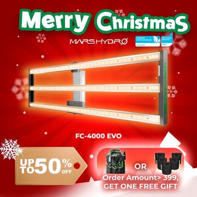 Mars Hydro FC 4000 EVO SamsungLM301H LED-Wachstumslichter for 1.2x0.6m Grow Zelt