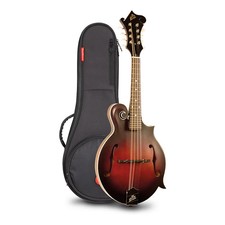 The Loar LM310F HandCarved FStyle Mandolin with Bag Vintage Brown