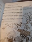 Foto 4 di 15