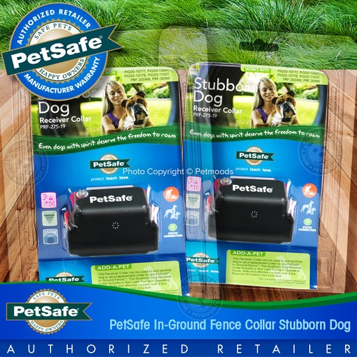 PetSafe Stubborn Dog 2 Collars PRF-275-19 Receiver + 2 Straps and 9-volt Battery - Picture 2 of 12
