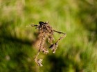 Bild 3 von 6