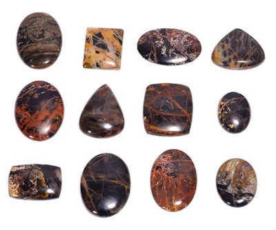 4 pcs Natural Pilbara Jasper Cab Loose Gemstone 60.00 Lot for Jewelry Making