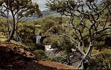 Seven Sacred Pools Hana Maui vintage postcard u202