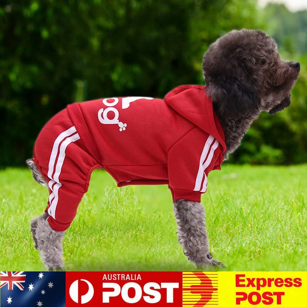 Puppy hotsell clothes australia