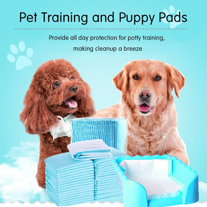 Pet Training Pads 400/200 Puppy Dog Toilet Pee Indoor Super Absorbent 60x60cm AU - image 3 of 4