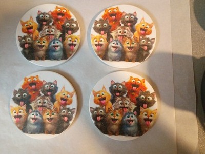 Round Coaster Set of 4 Multicolor Cat Animal Theme Fun Design