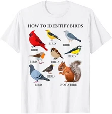 How to Identify Birds Funny Birds Identification Birdwatcher T-Shirt