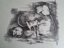 "Springmäuse" Federzeichnung Radierung von Katja Weidenberg