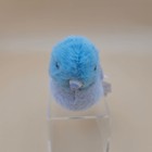 Bild 6 von 6