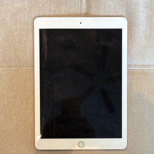 Apple iPad A1673 | eBay