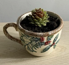 Decorative Holiday Ceramic Mug Planter with Real Succulent