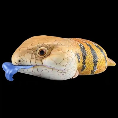 Northern Blue Tongue Skink Plus Resin Animal Heavenly Body Model 14.8*6.7*4.1cm