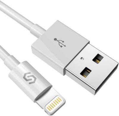 Syncwire Lightning Charging Cable for iPhone - 3.3ft (SW-LC053)
