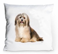 Kissenbezug 40X40Cm - Havaneser - Portrait Dog Fun HüLle Hund Deko Kissen