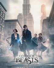 David Yates Harry Potter Signed Fantastic Beasts 8x10 Autograph Photo COA  #2