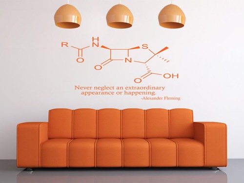 Alexander Fleming Classroom Wall Quote, Wall Sticker, Vinyl Decal, Transfer - 第 3/4 張圖片