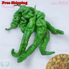 Long Green Hot Pepper seeds | NON-GMO | Vegetable Seeds