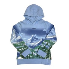 Levi's Boys Fleece Hoodie, Kangaroo Pocket, Relaxed Fit Placid Blue, M 8 