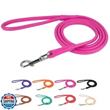 CollarDirect Rolled Leather Dog Leash 4ft, Soft Padded Training Leather Dog L