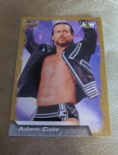 Adam Cole 2022 Upper Deck AEW Gold Parallel #27