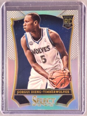 スゴ超ネタ GOLF 14 ディスク８枚セット　ガイドブック付き 2013-14 Panini Select #161 Gorgui Dieng Rookie RC Silver