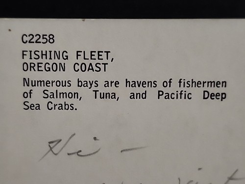 Newport Oregon Yaquina Bay Fishing Fleet bridge PM 1952 vintage postcard - Picture 3 of 5