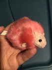 Picture 1 of 4