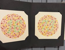 Tests For Colour Blindness Ishihara Ninth Edition 1949 Vintage
