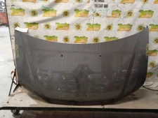 Hood Fits 14-17 ODYSSEY 3843827