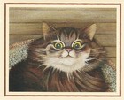 *One* Tulip Levy Striped Tabby Maine Coon Cat Note Cards Lowell Herrero Lang