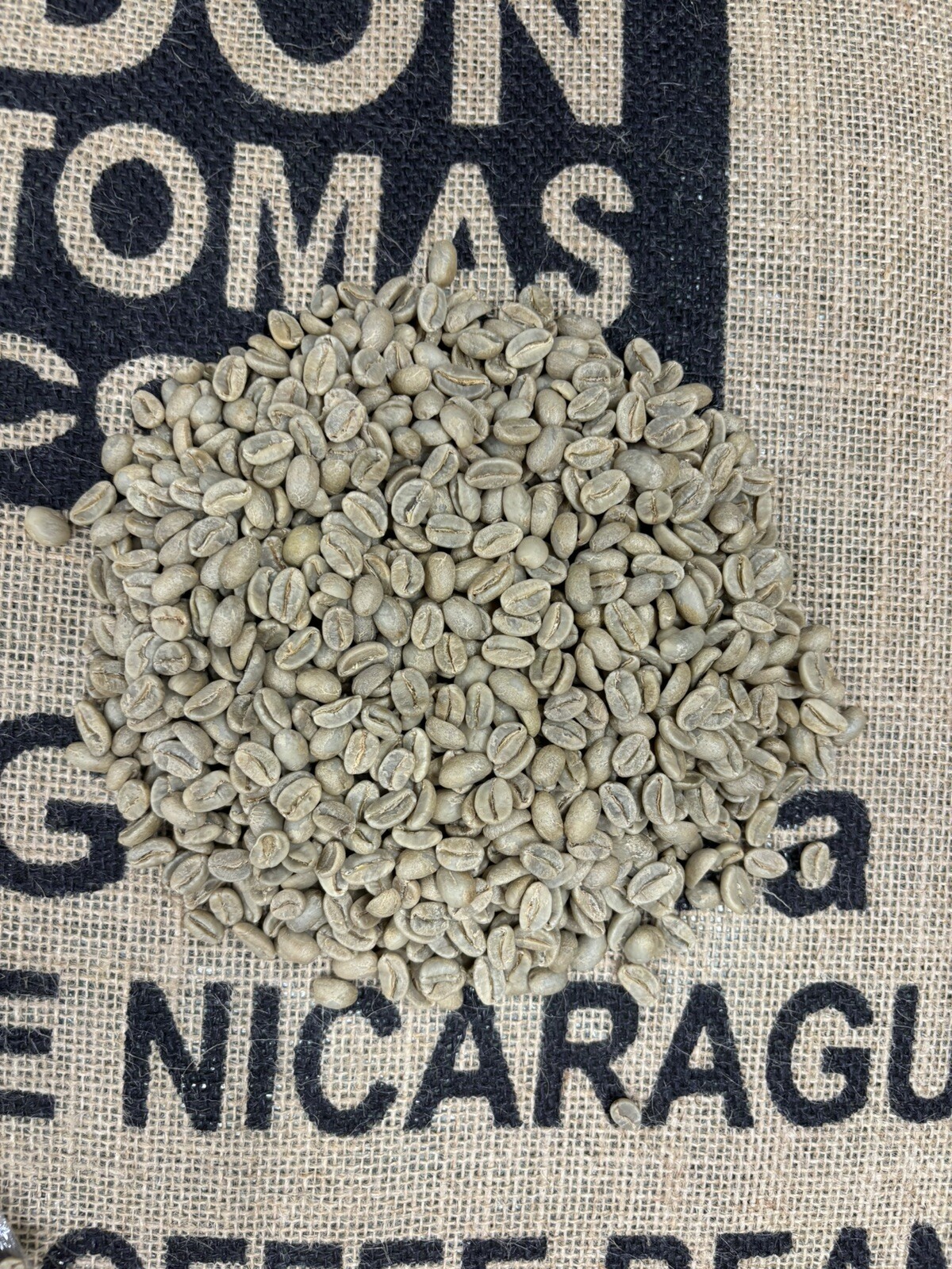 Don Tomas Green coffee beans Nicaragua Java 12 lbs 2019 Crop