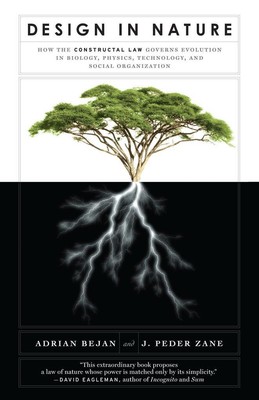 Design in Nature | Adrian Bejan, J. Peder Zane | englisch