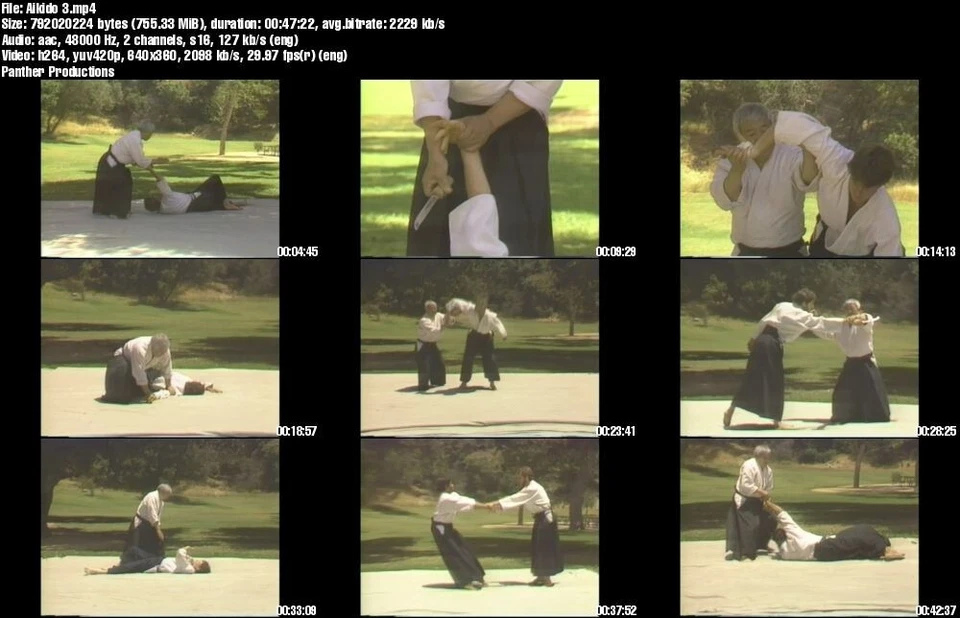 Home Study Course - Traditional Aikido (DVDs + Certificates) - Image 4 of 4