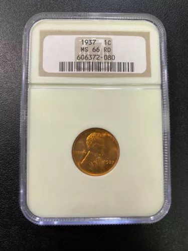1937 WHEAT CENT NGC MS-66 RD - UNCIRCULATED - RED - EARLY DATE - SLABBED - 1C