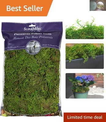 Versatile 8oz Fresh Green Preserved Moss - Ideal for Floral Designs & Events