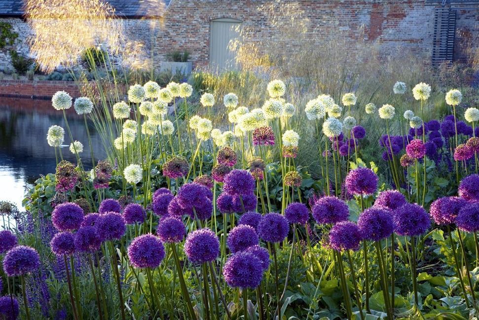 Thumbnail - Design Mit Pflanzen | Moderne Architektur Garten | Peter Janke |