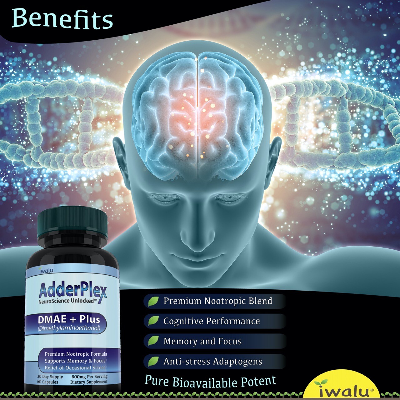 Circulation Supplements - Neurovascular Formula for Optimal Flow - Caffeine Free
