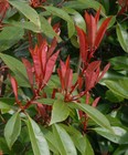 Foto 5 di 5