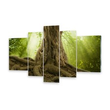 Mehrteilige Bilder Acrylglasbilder Wandbild Große Baumwurzeln