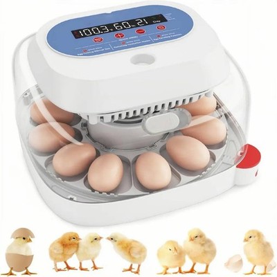 12 Eier Inkubator Vollautomatisch Brutmaschine mit 4 Modi Brutkasten Brutapparat