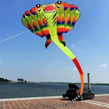 Huge 41ft Inflatable 3D Ray Kite   2-Color Display Ripstop Nylon Show Kite w/lin