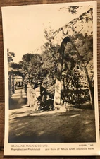 Postcard RPPC Beanland, Malin & Co Jawbone Of Whale Arch Alameda Park Gibraltar