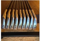 Titleist DCI Gold 981 Iron Set 2-PW Stiff Graphite RH