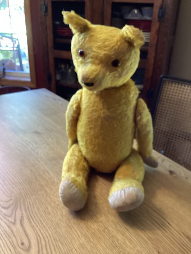 Rare Large 23" Steiff Teddy Bear Antique 1905 1906
